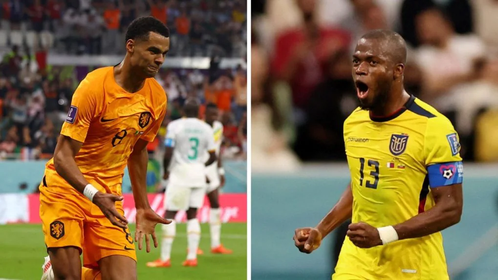 Netherlands Vs Ecuador Match: Preview, Prediction, History, H2H Records, Standings, News & Stats